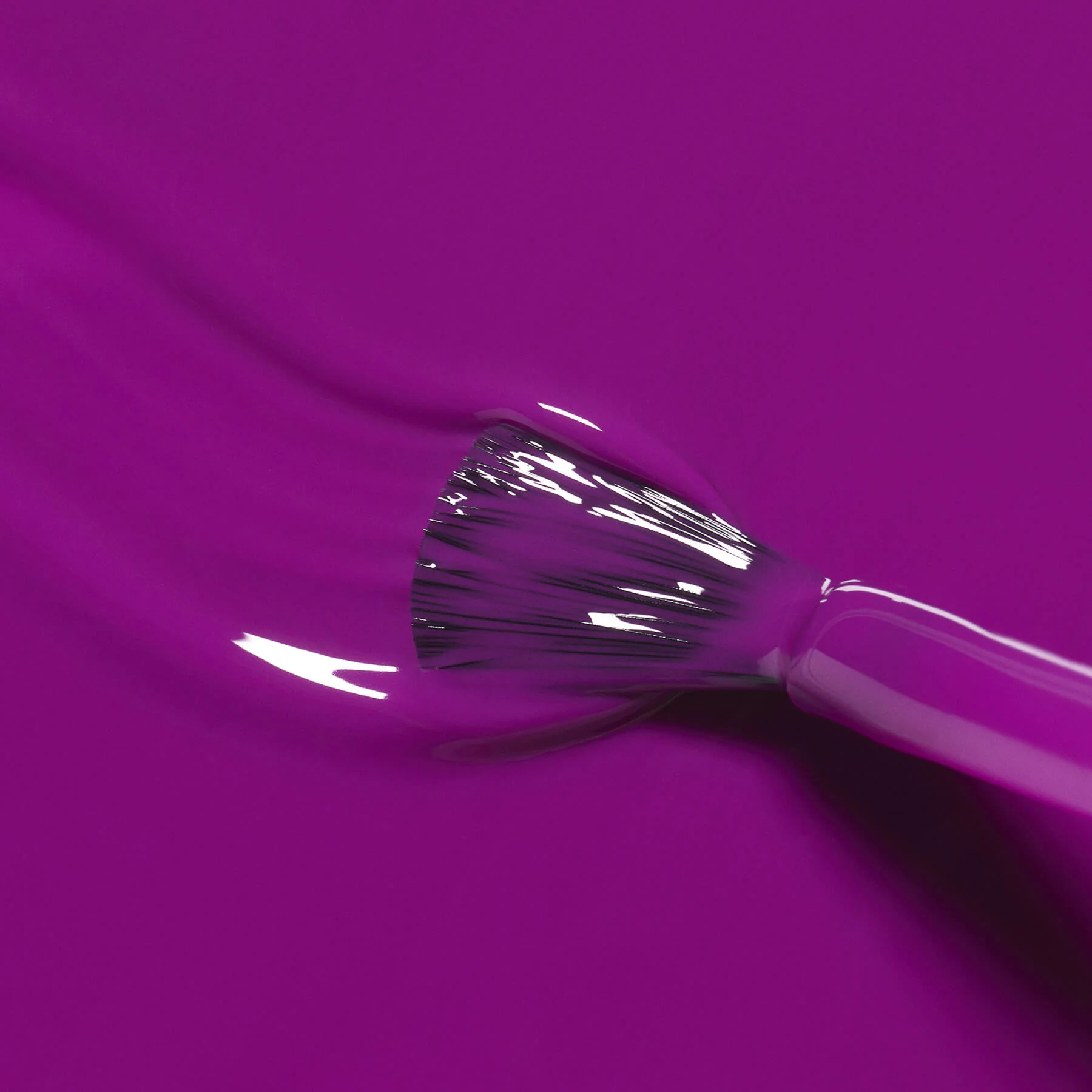 Fizz - Image 5