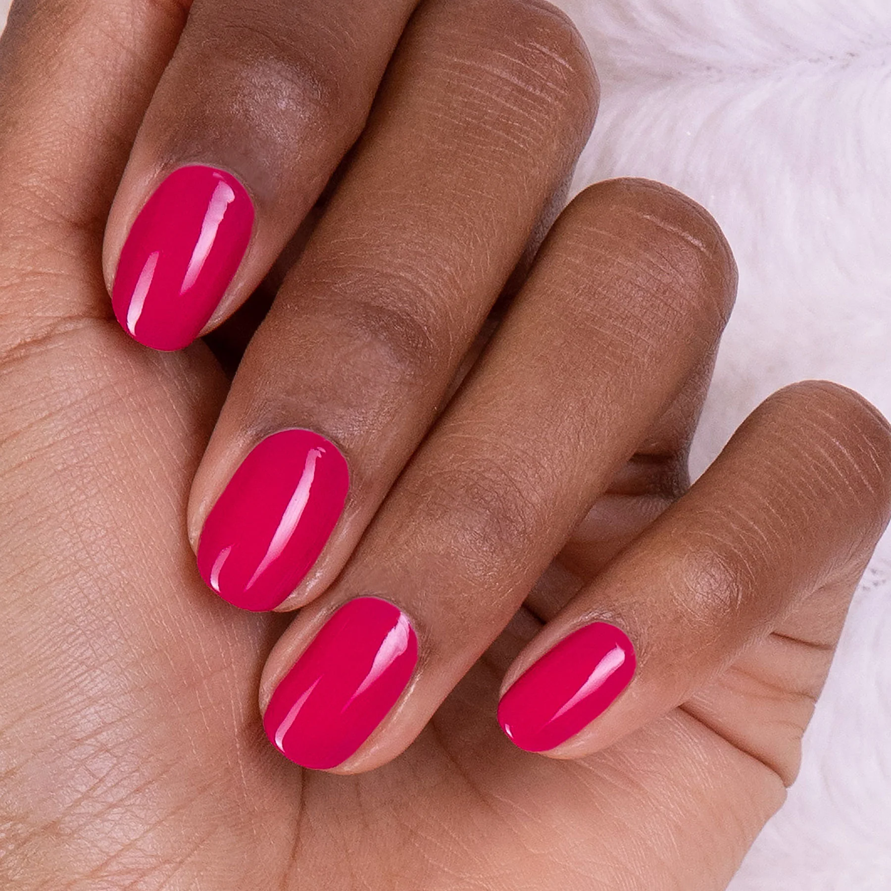 Fuchsia - Image 2