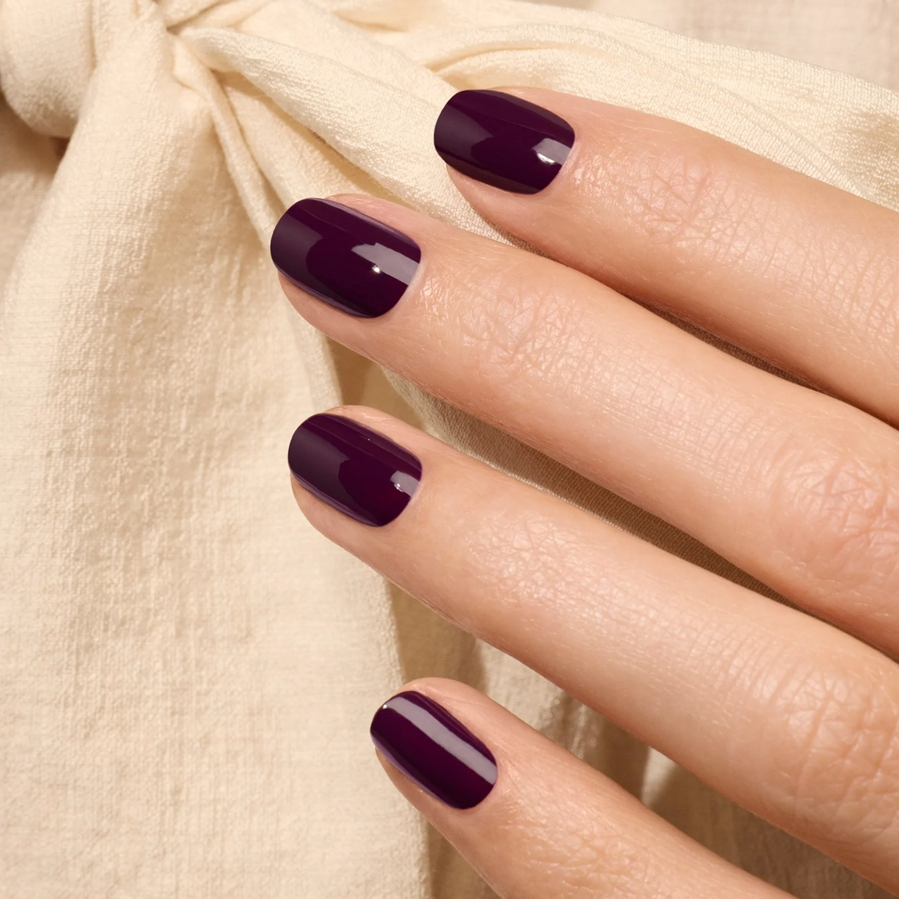 Aubergine - Image 2