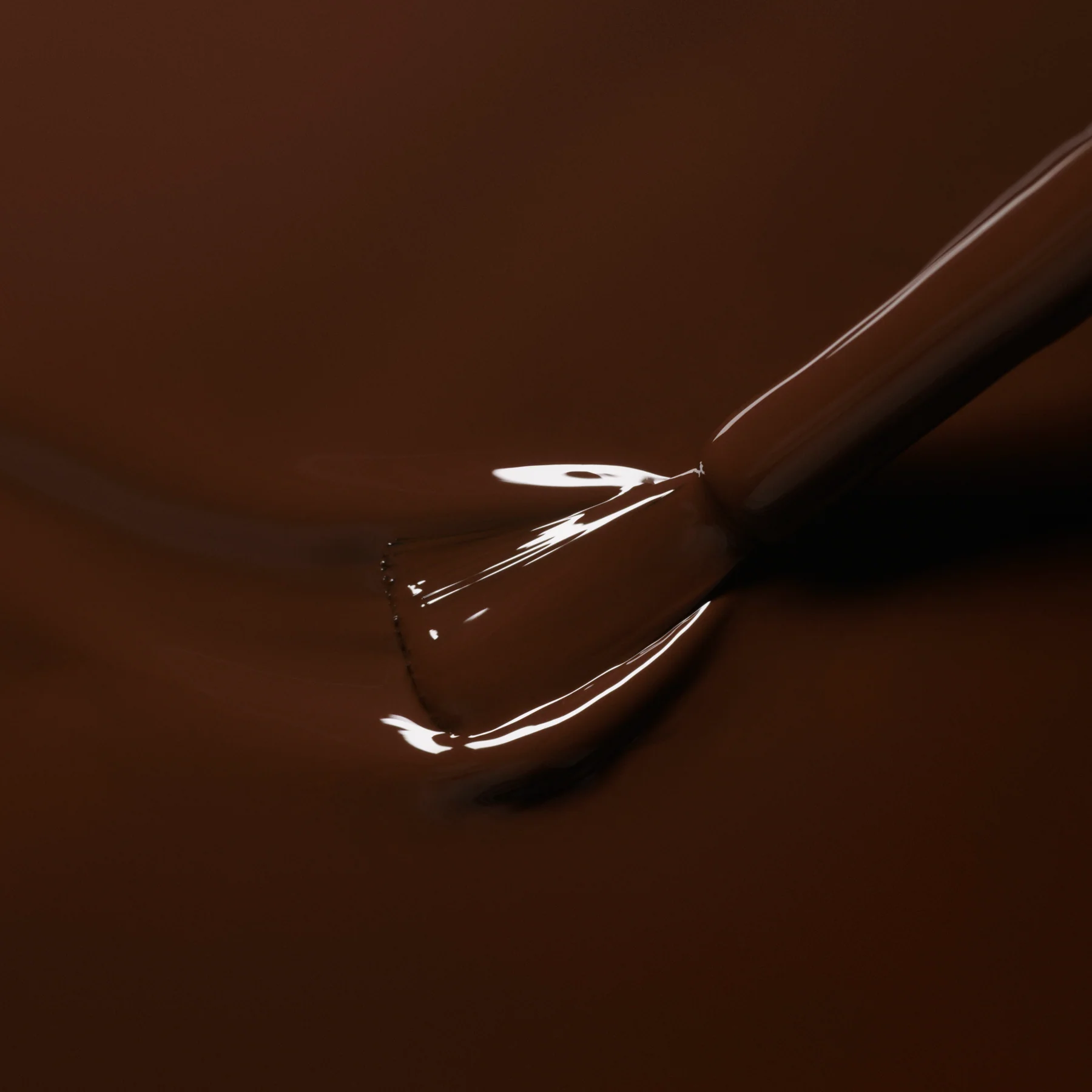 Clove - Image 4