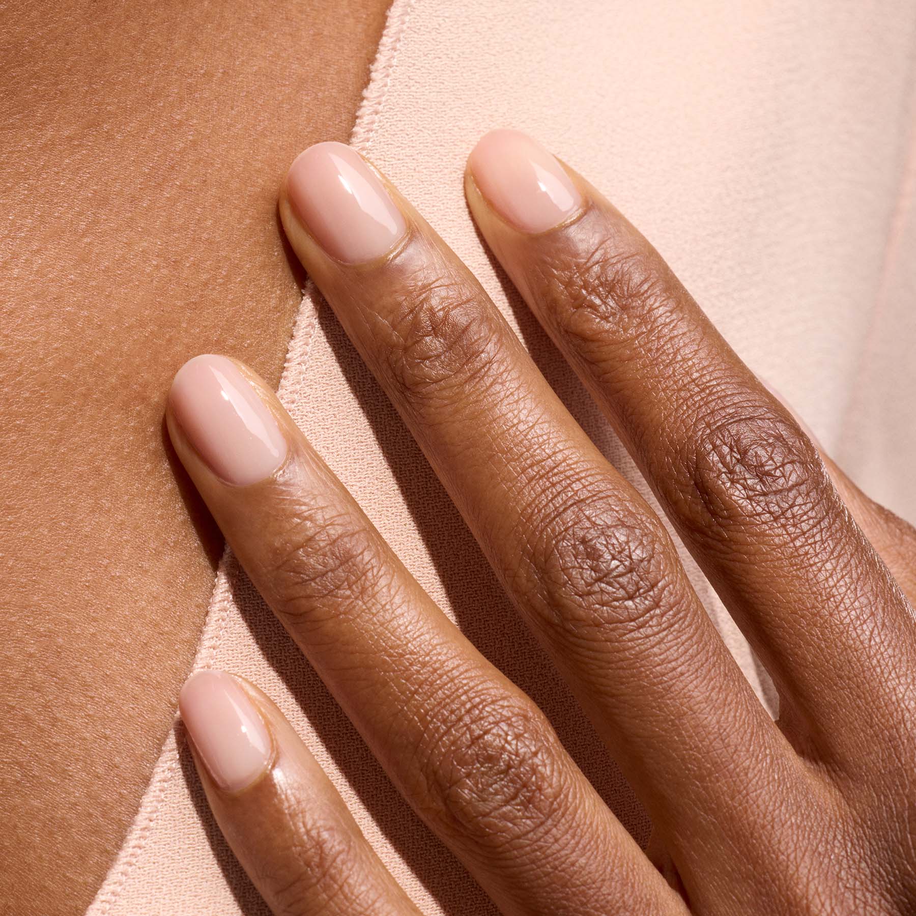 Pale Rose - Image 8