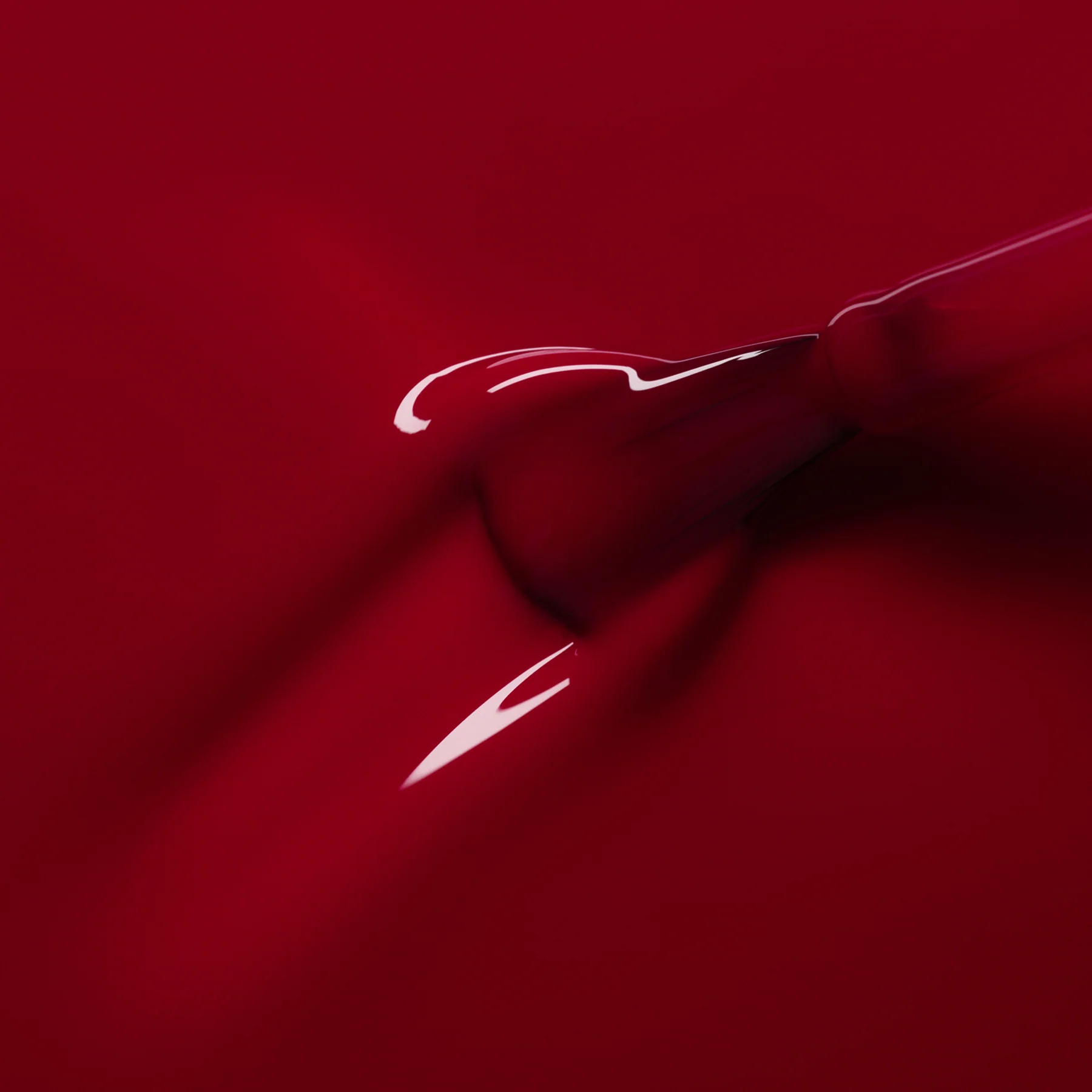 Pomegranate - Image 5