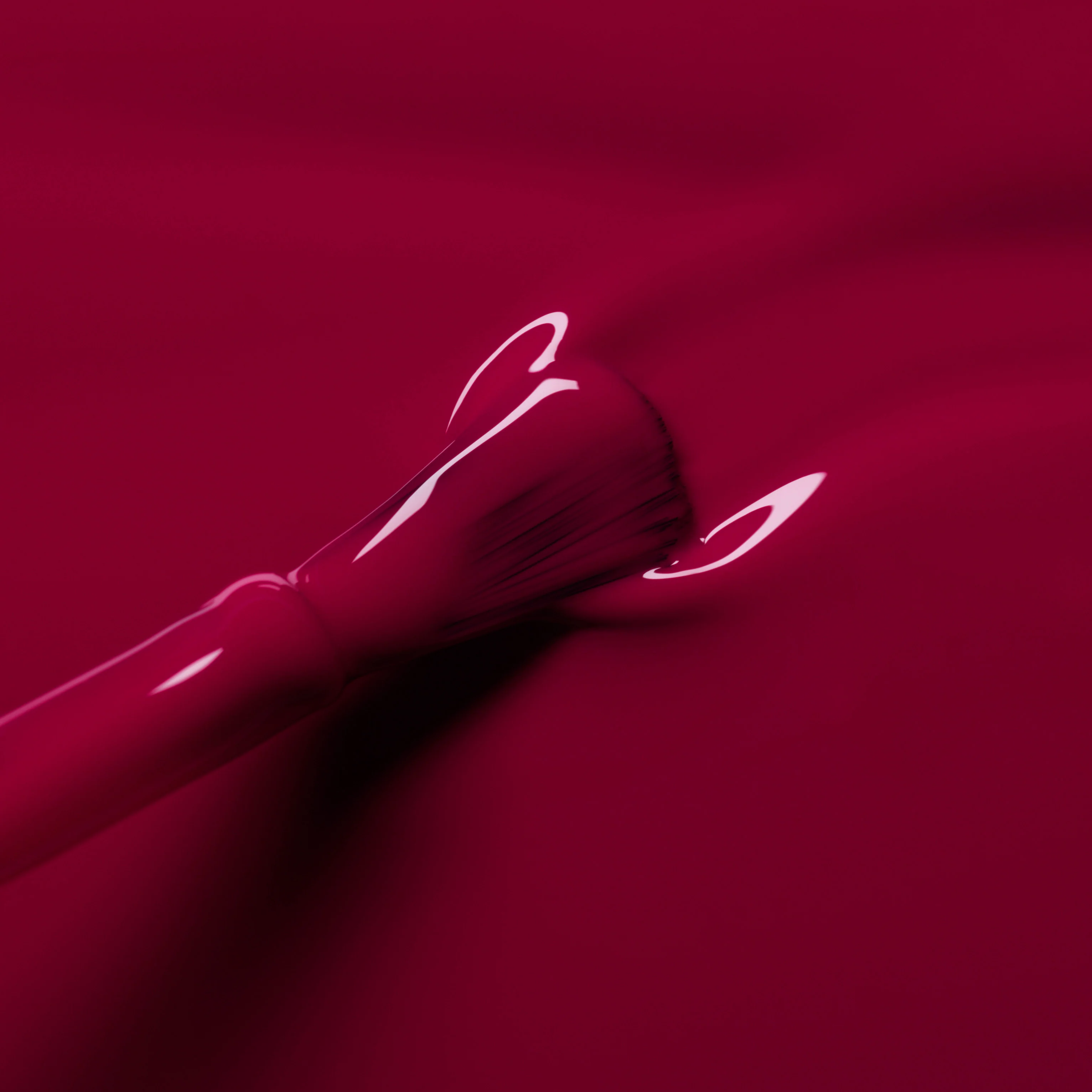 Violeta - Image 5