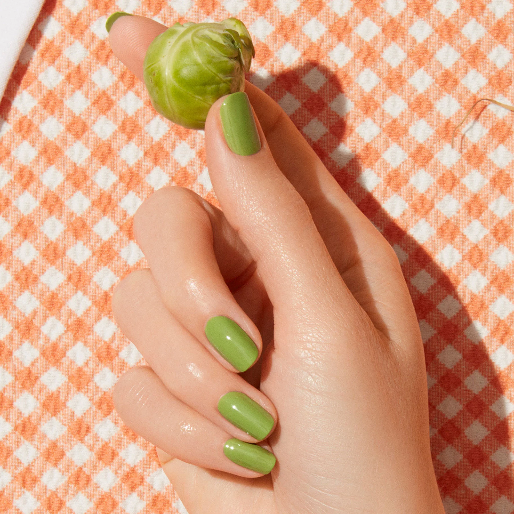 Sweet Pea - Image 3