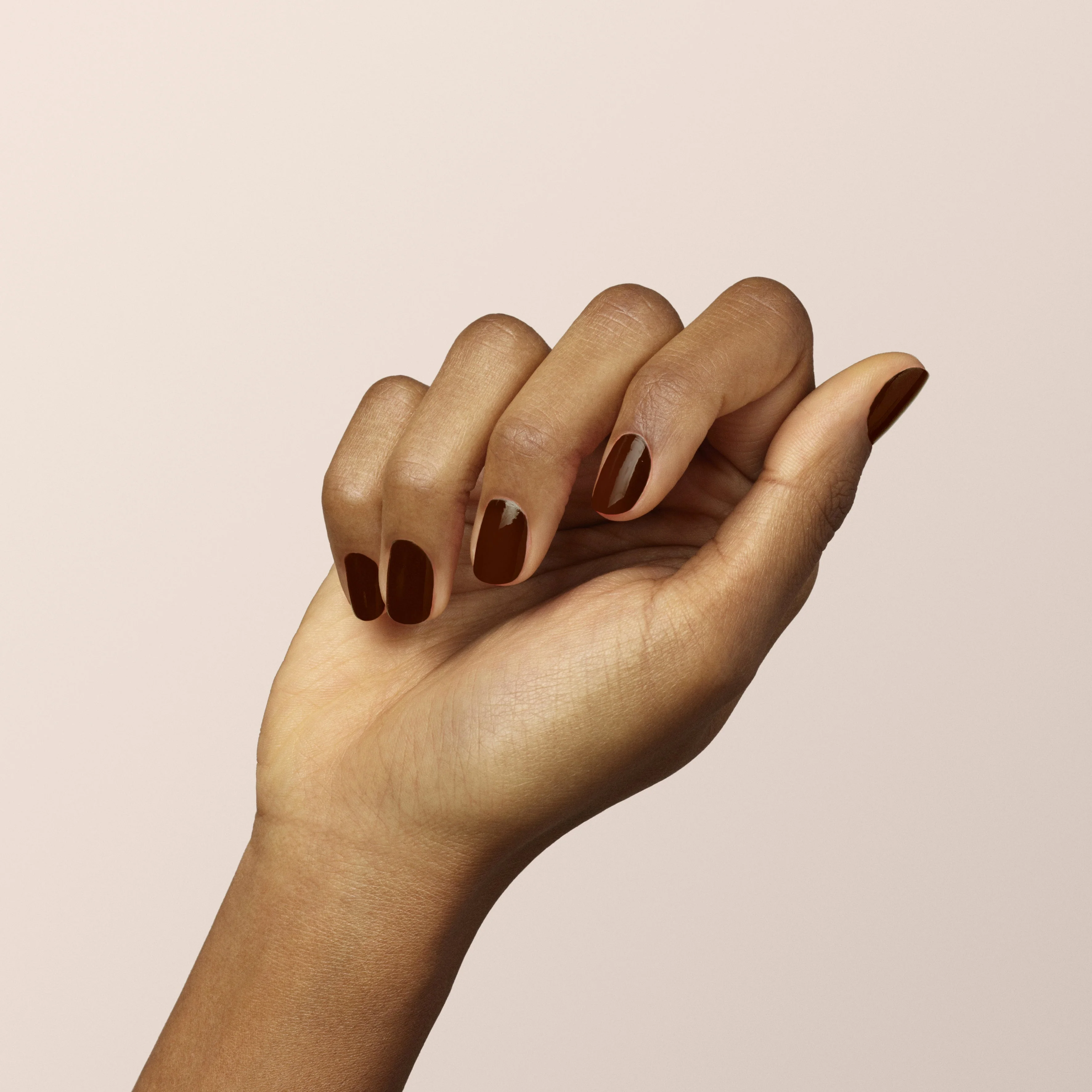 Clove - Image 14