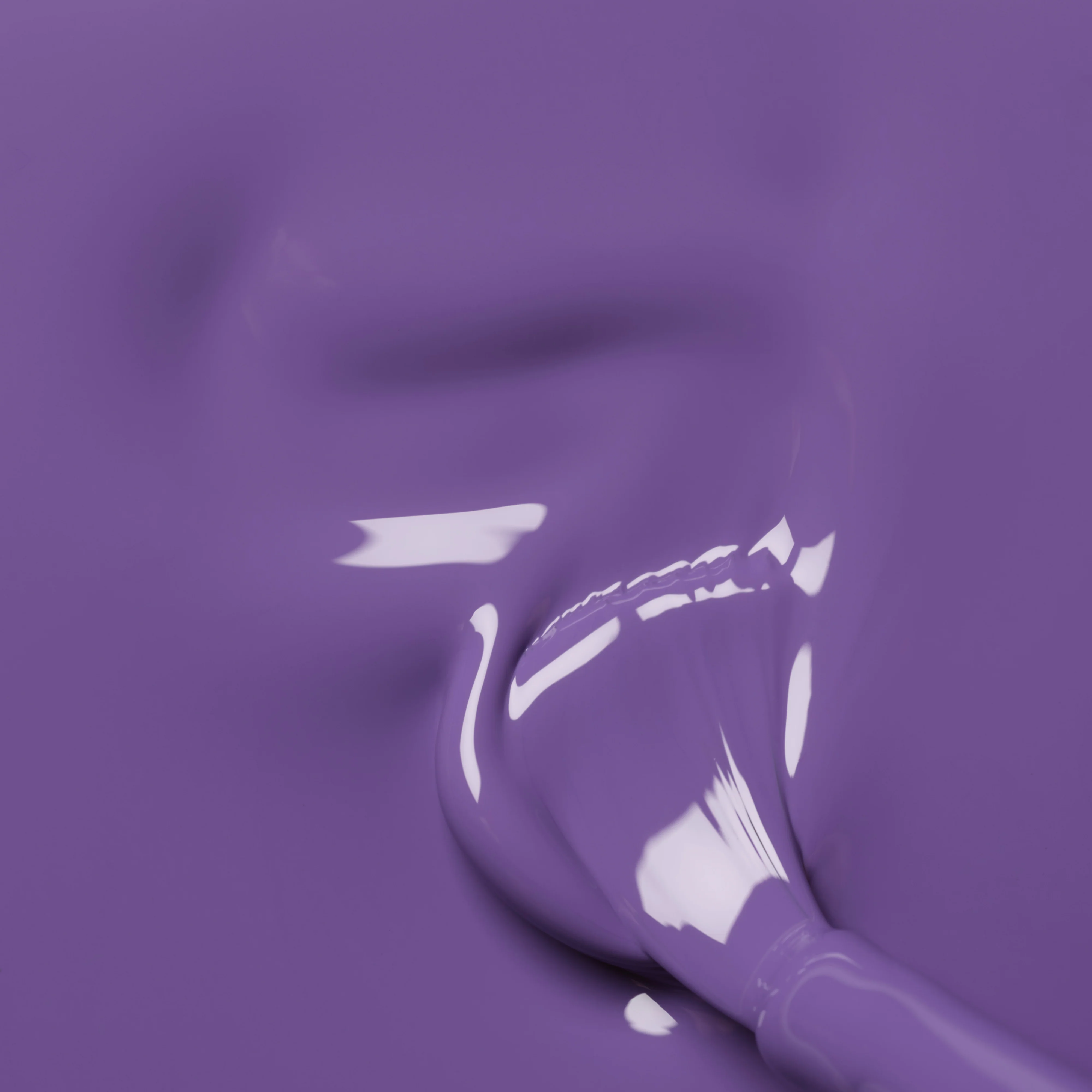 Iris - Image 3