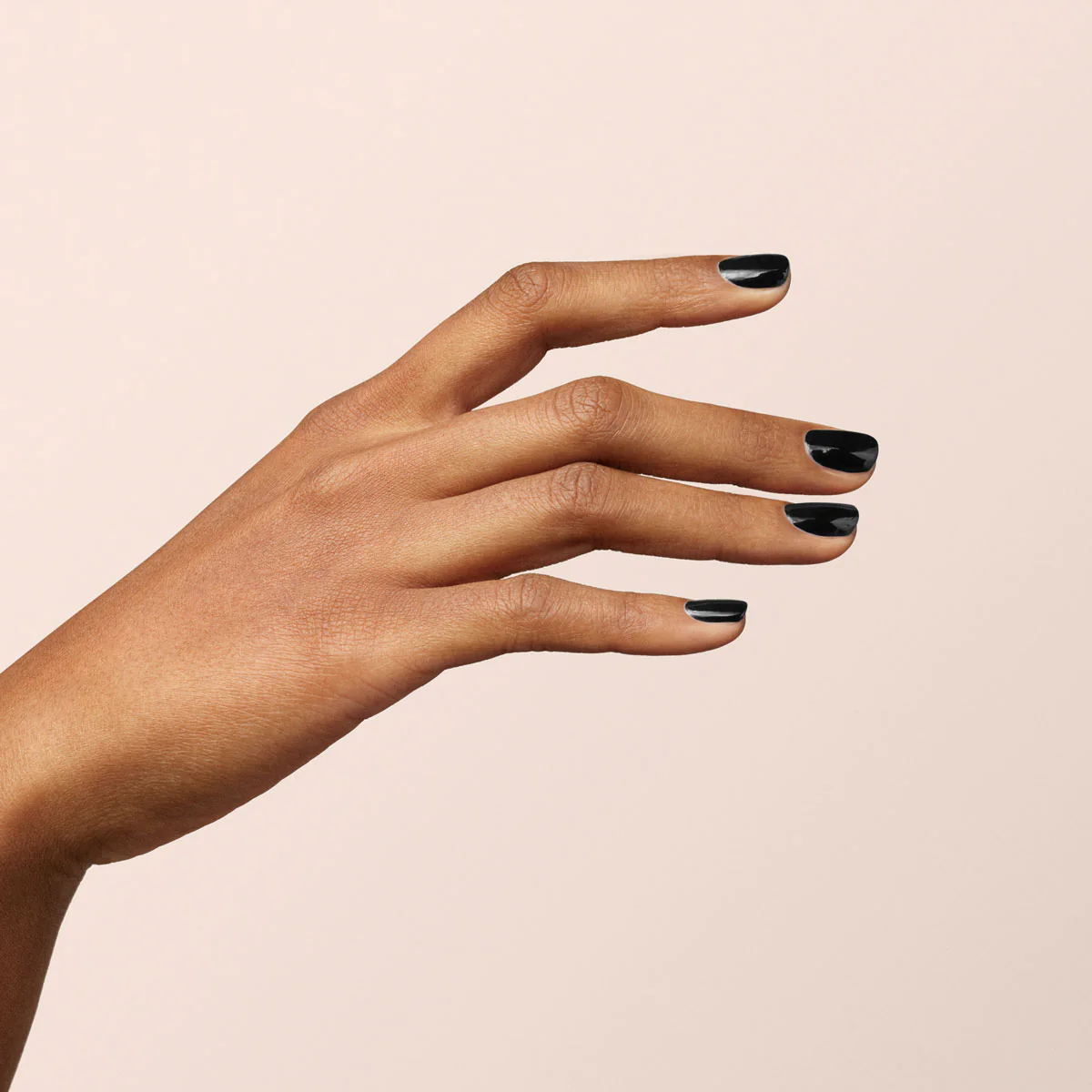 Licorice - Image 12
