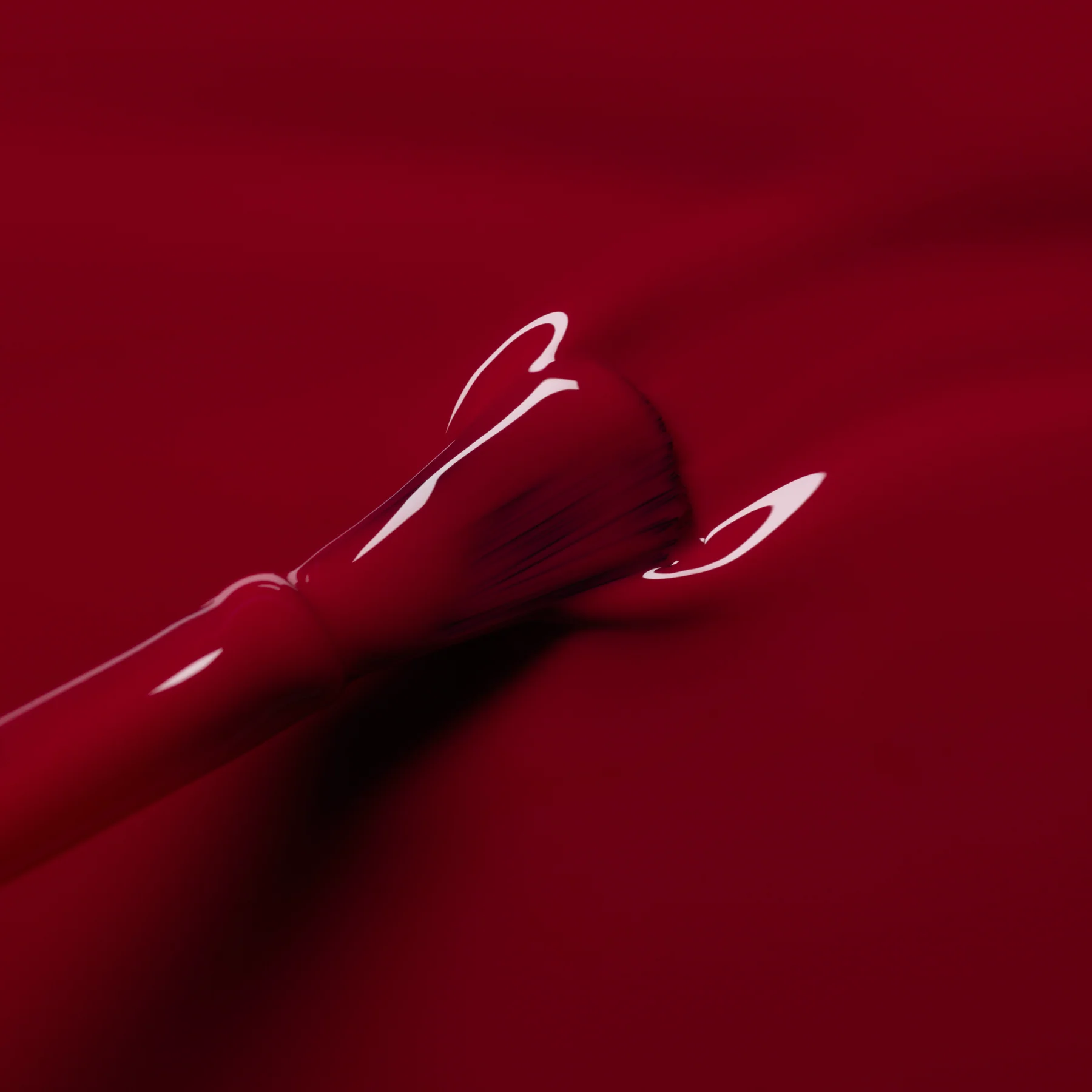 Violeta - Image 5