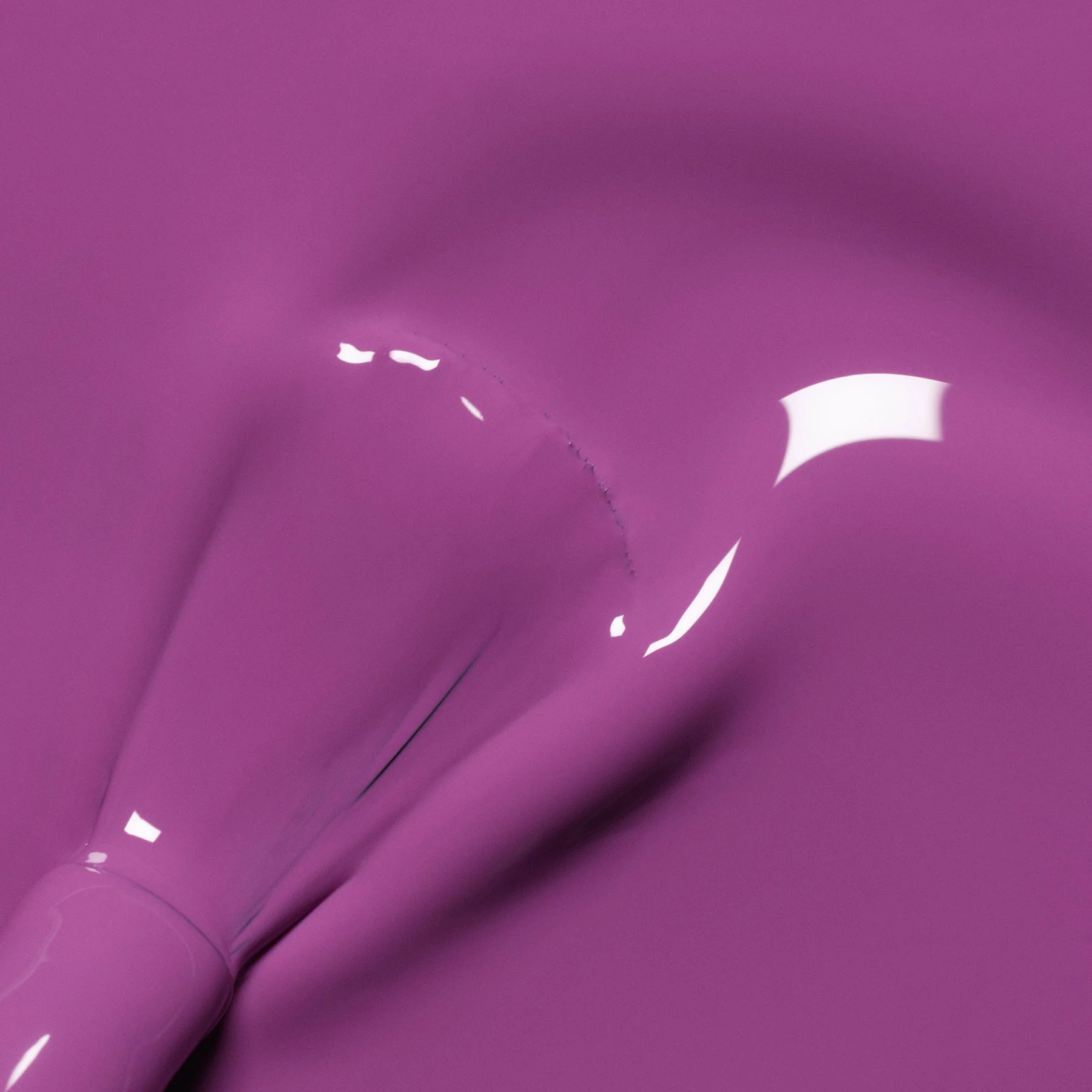 Violette - Image 4