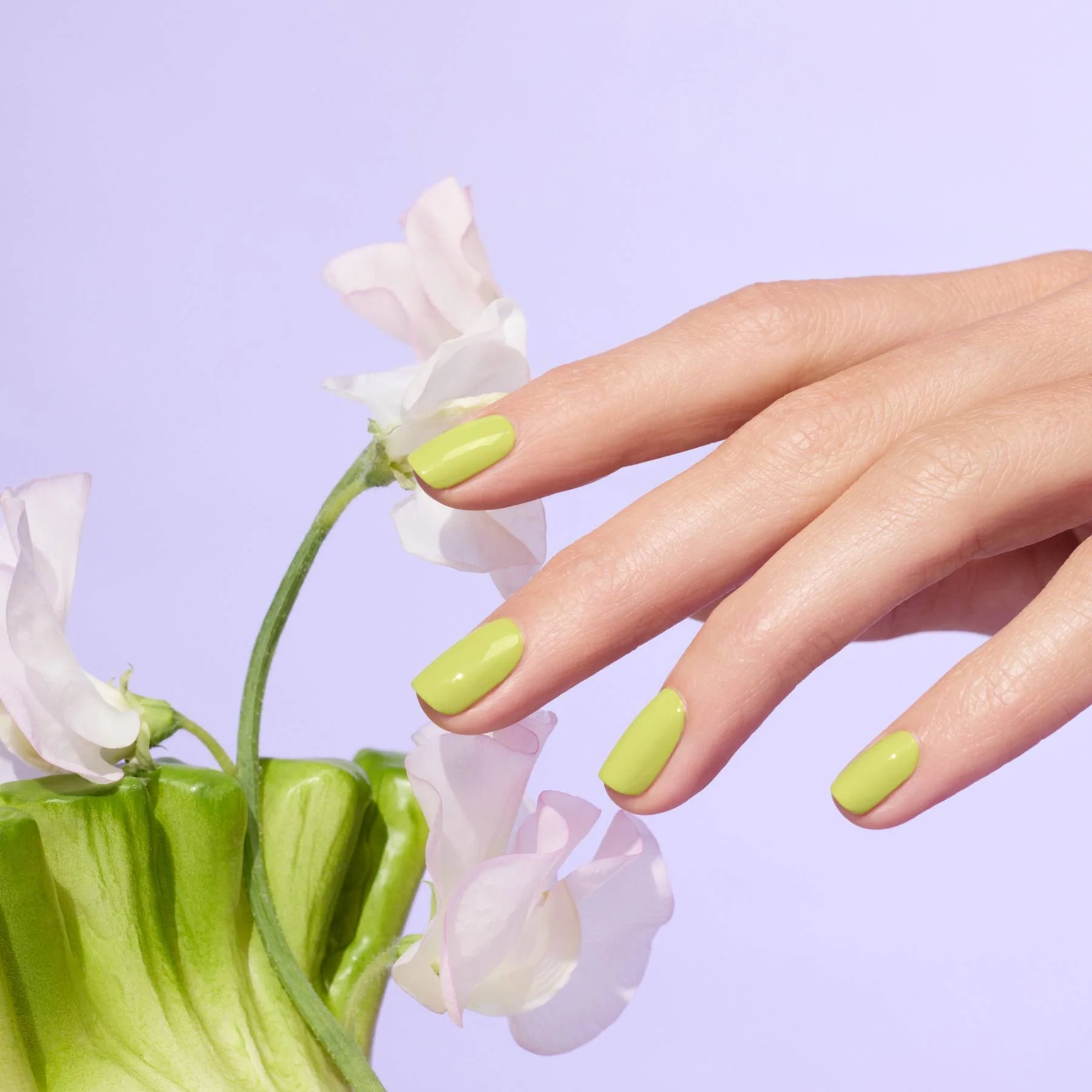 Lime - Image 3