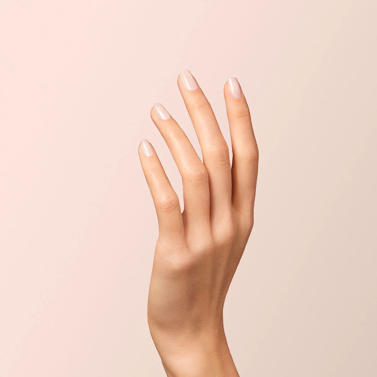 Milky White - Image 11
