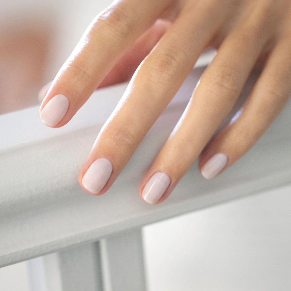 Milky White - Image 7