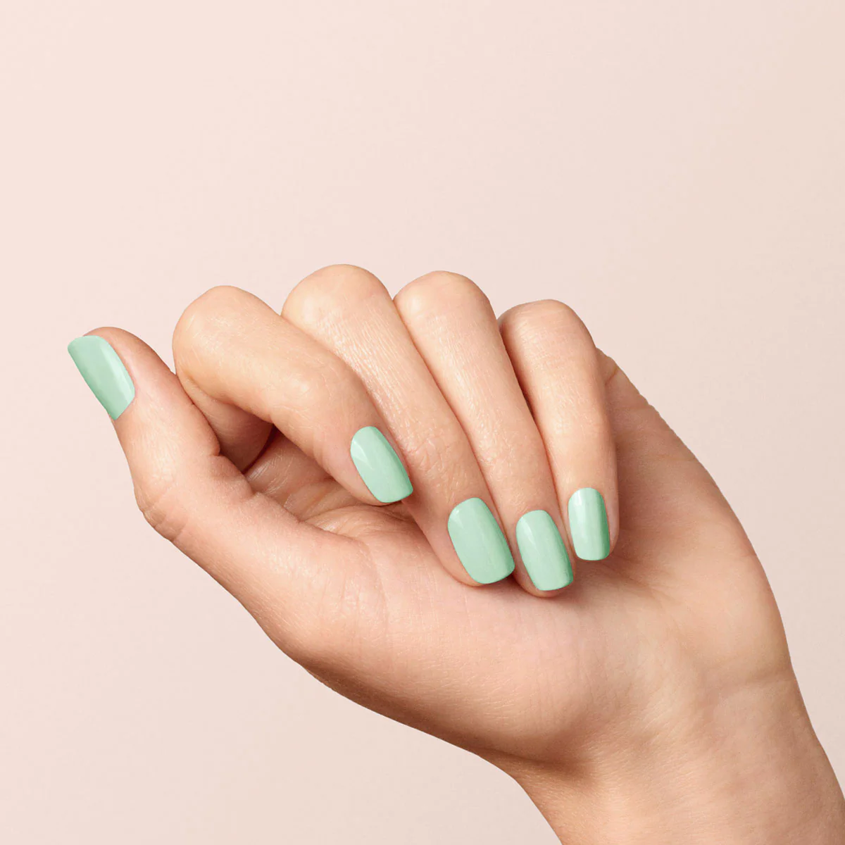 Mint - Image 9