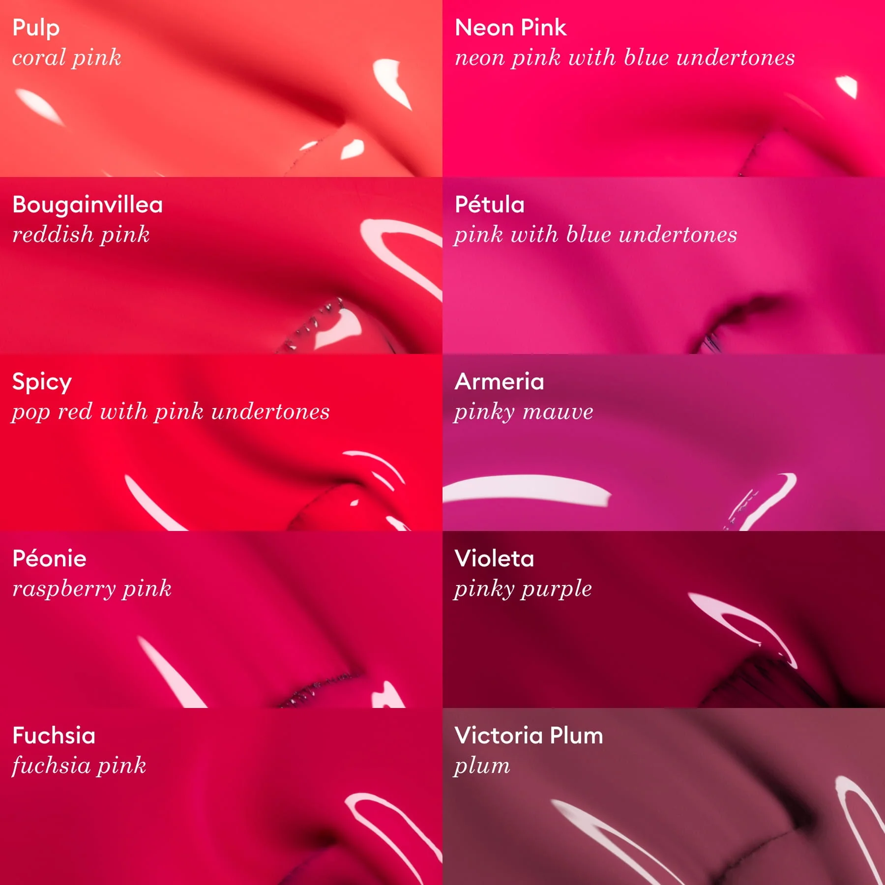 Violeta - Image 7