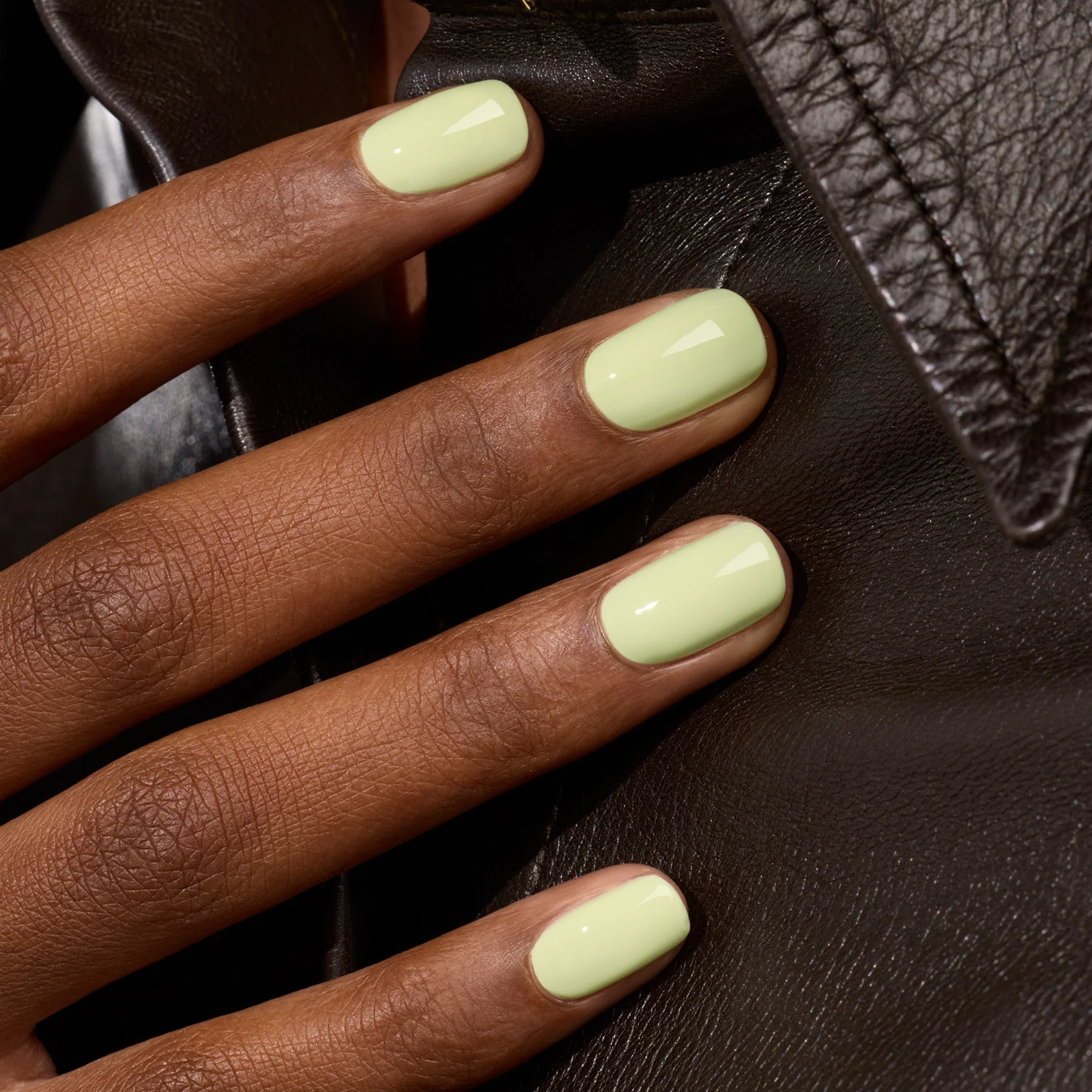 Pistachio - Image 2