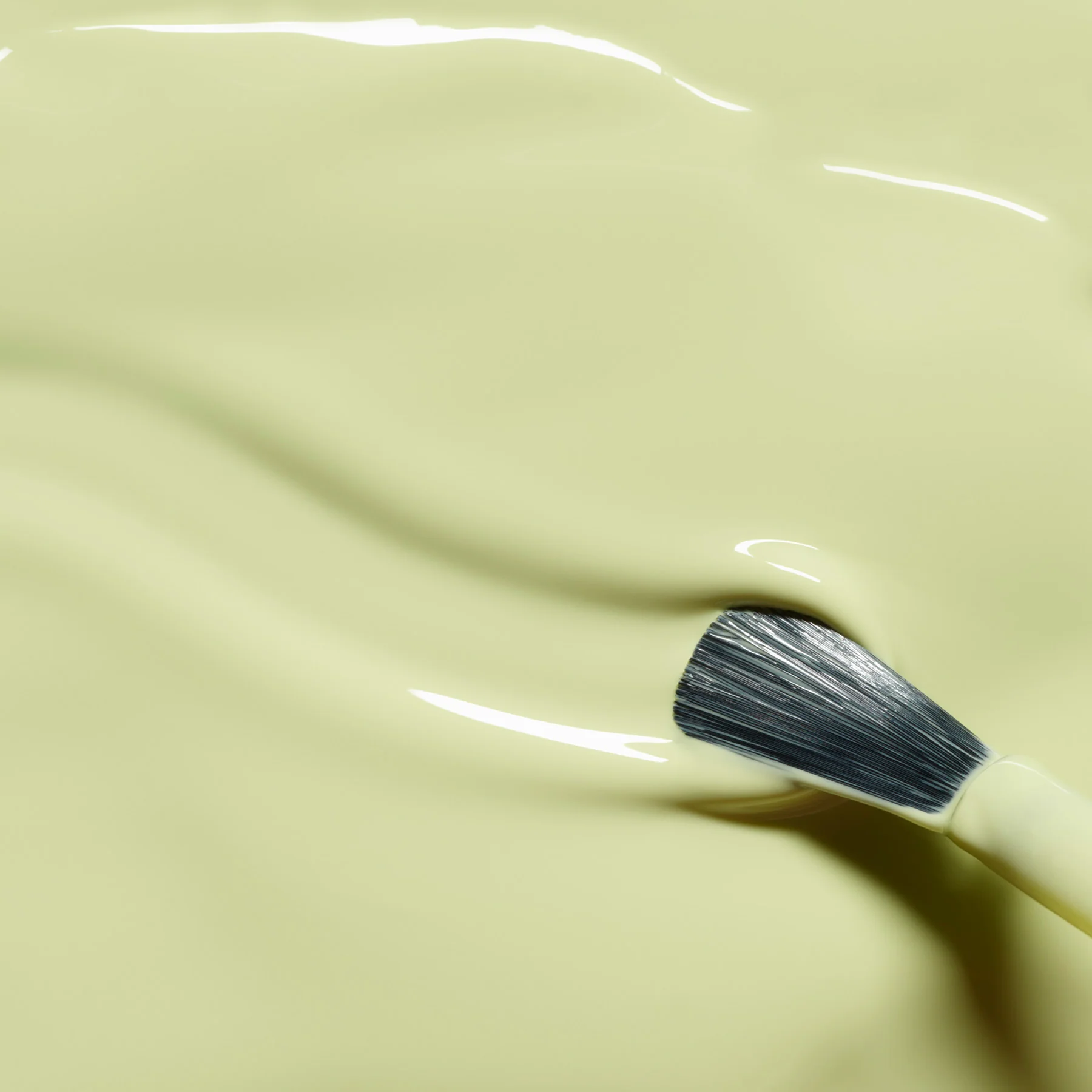 Pistachio - Image 5