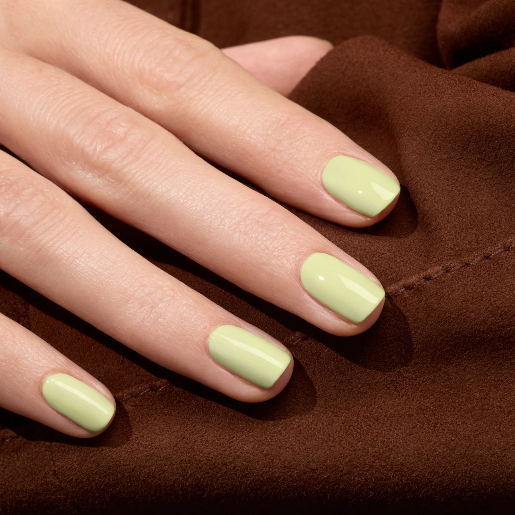 Pistachio - Image 4
