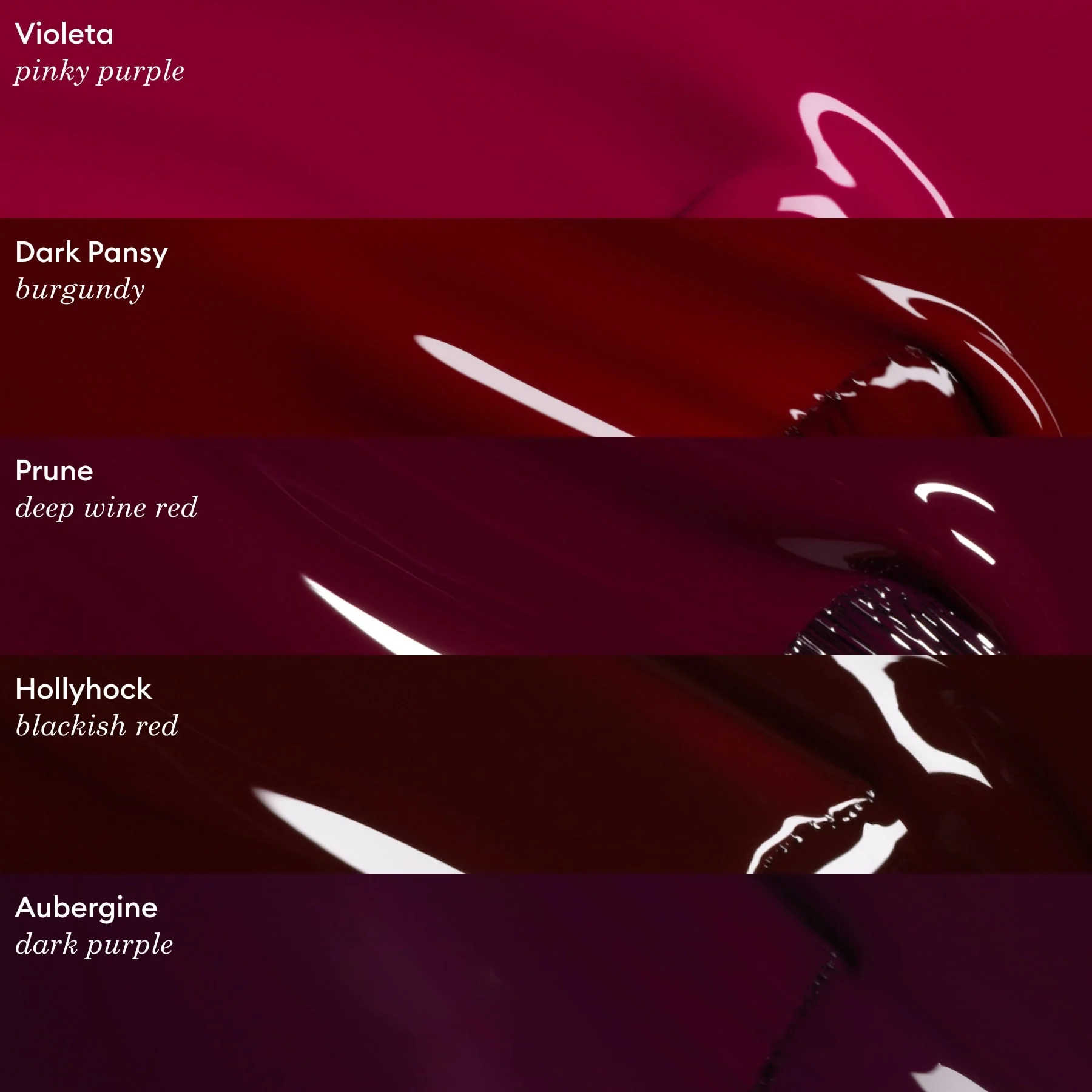 Violeta - Image 6