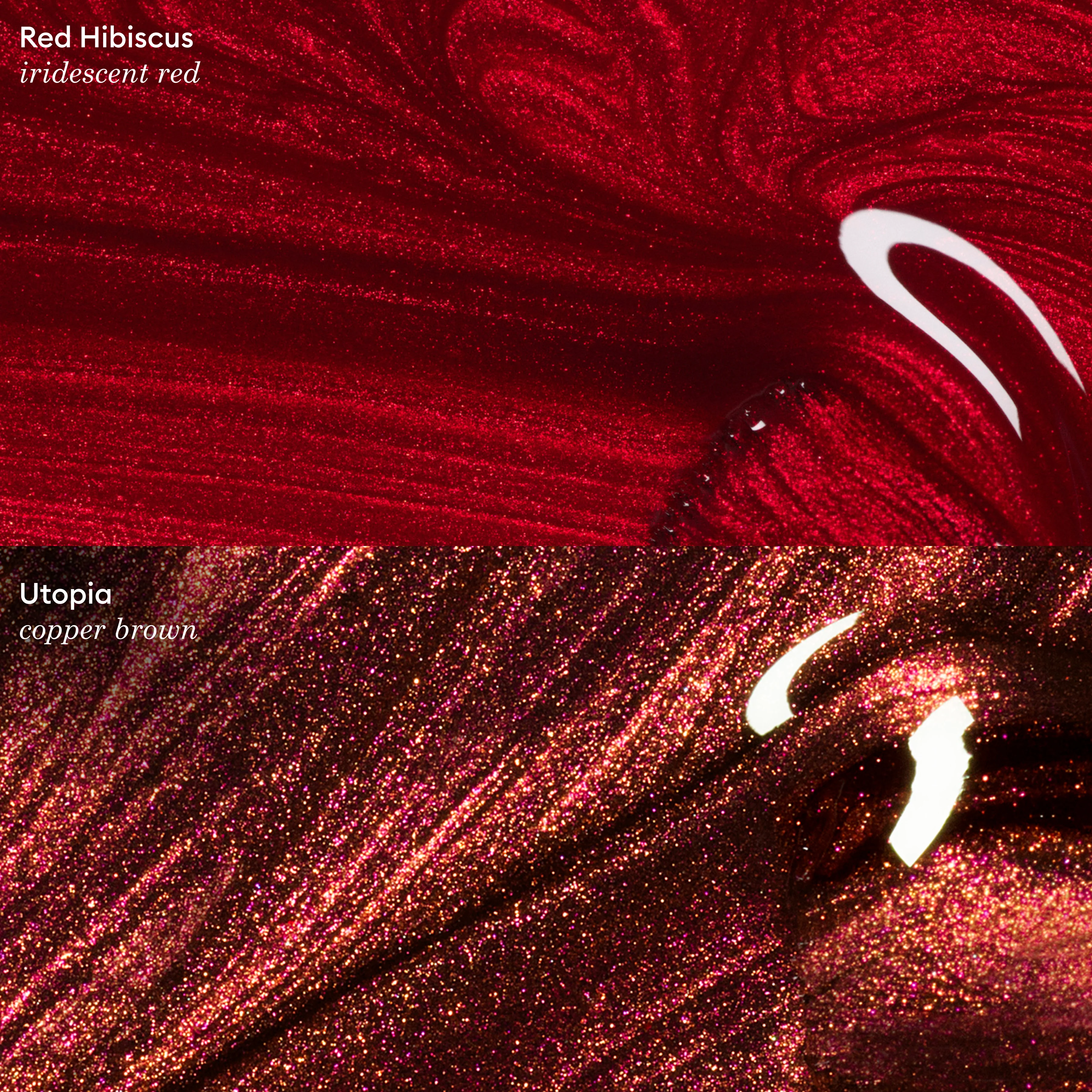 Red Hibiscus - Image 6